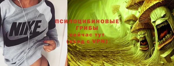 spice Арсеньев