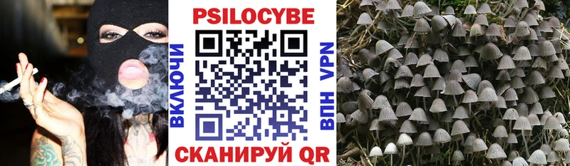 OMG ССЫЛКА  Байкальск  Галлюциногенные грибы MAGIC MUSHROOMS 